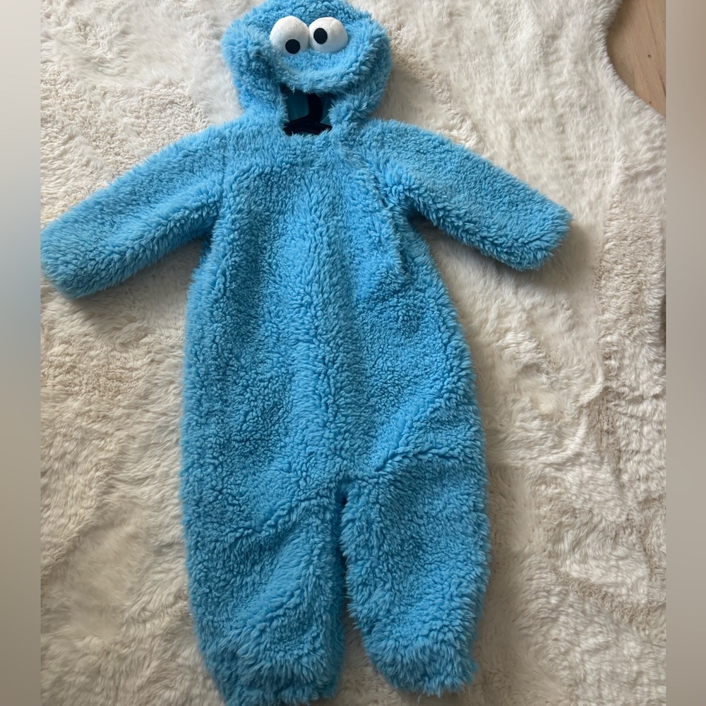 Pottery Barn Kids Cookie Monster Halloween costume